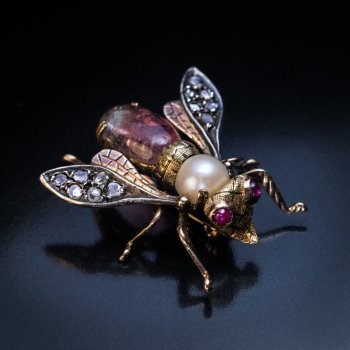 antique insect brooch