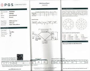 PGS diamond report