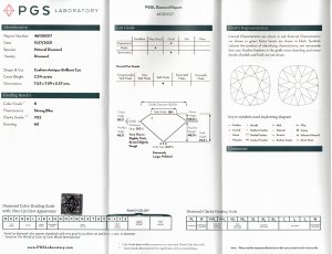 Diamond report