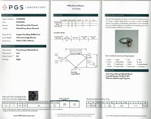 Antique fancy diamond PGS report